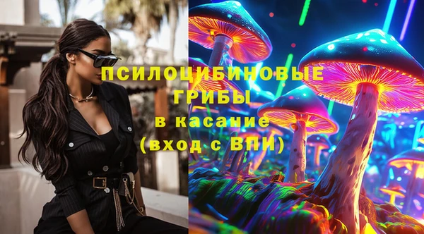 прущие грибы Баксан