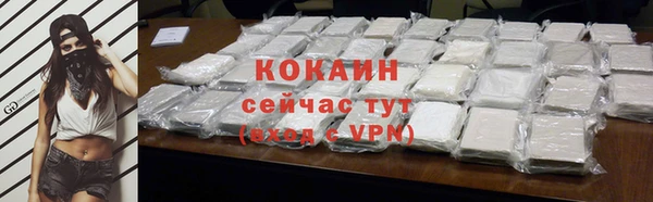 прущие грибы Баксан