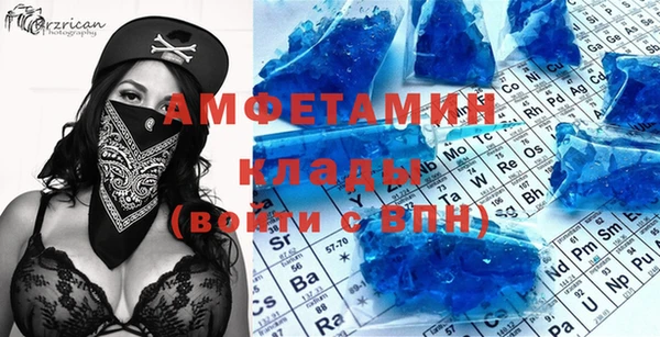 прущие грибы Баксан